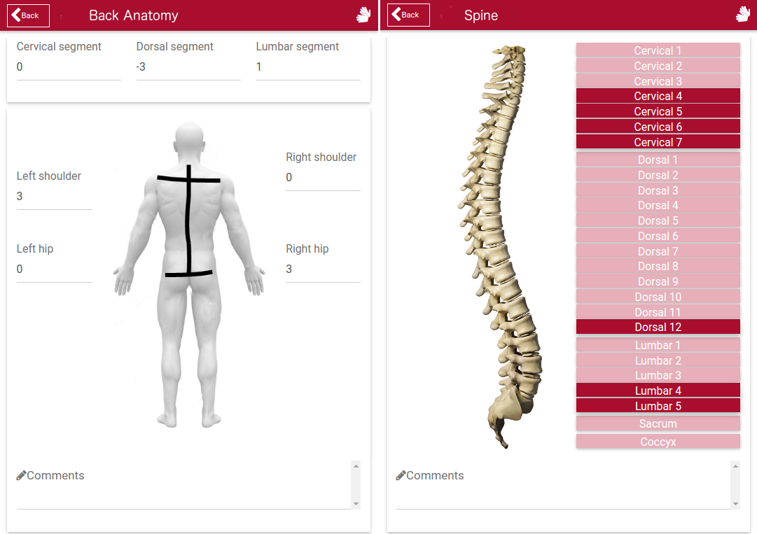 Interface to obtain structured data for the back’s anatomy and spine problems.